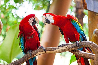 官宣：E3 2023将于6月13日在洛杉矶举行 